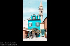 Does Dr Suess live here? - Susan Brunialti