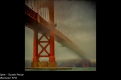 Afternoon SFO - Susan Rocco