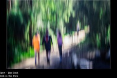 Walk in the Park - Ian Bock