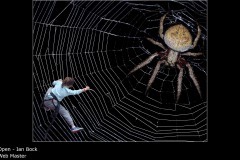 Web Master - Ian Bock