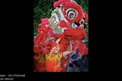 Lion Dancer - Jim O'Donnell