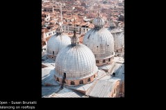 Balancing on rooftops  - Susan Brunialti