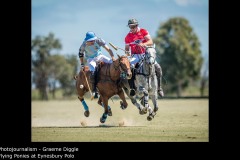 Flying Ponies at Eynesbury Polo - Graeme Diggle