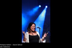 Kate Ceberano - David Gilliver