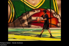 Inspiration - Nicole Andrews
