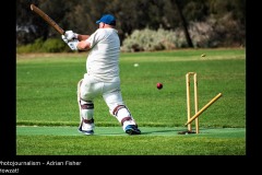 Howzat! - Adrian Fisher
