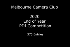 MCC-EoY2020._Main-Title.vA027J01