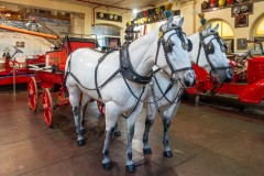 Fire Services Museum Outing (Robert Fairweather ©)