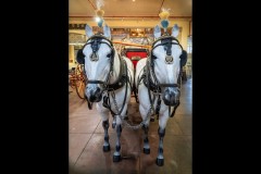 Fire Services Museum Outing (Jim Weatherill ©)