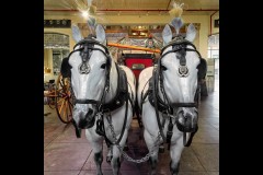 Fire Services Museum Outing (Jim O'Donnell ©)