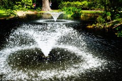 Fitzroy Gardens (Peter Stuchbery ©)