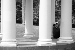 Fitzroy Gardens (Terry Noske ©)