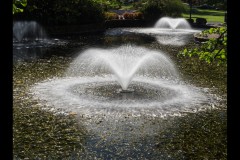 Fitzroy Gardens (Paul Palcsek ©)