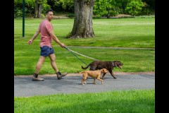 Fitzroy Gardens (Bob Clothier ©)