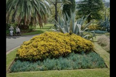 Fitzroy Gardens (Paul Palcsek ©)