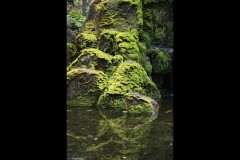 Fitzroy Gardens (Terry Noske ©)