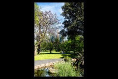 Fitzroy Gardens (Peter Stuchbery ©)