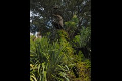 Fitzroy Gardens (David Marriott ©)