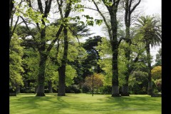 Fitzroy Gardens (David Marriott ©)