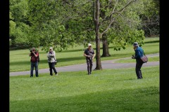 Fitzroy Gardens (David Marriott ©)