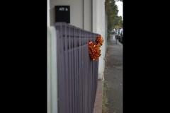 Fitzroy Streetscapes (Sara Wigney ©)