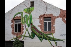 Fitzroy Streetscapes (Norman Blaikie ©)