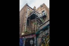 Fitzroy Streetscapes (David Dyett ©)