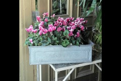 Fitzroy Streetscapes (Jim O'Donnell ©)