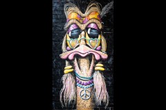 Fitzroy Streetscapes (Norman Blaikie ©)