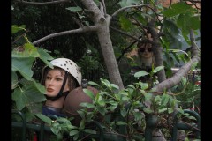 Fitzroy Streetscapes (Paul Palcsek ©)