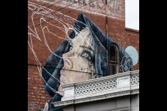 Fitzroy Streetscapes (Norman Blaikie ©)