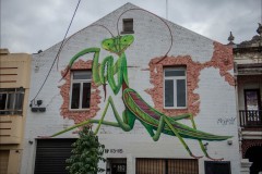 Fitzroy Streetscapes (Michael Brown ©)