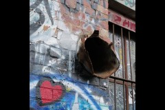 Fitzroy Streetscapes (Stuart McMurtrie ©)