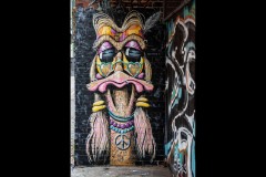 Fitzroy Streetscapes (Michael Brown ©)