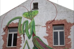 Fitzroy Streetscapes (Sara Wigney ©)