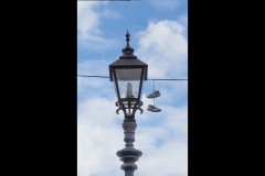 Fitzroy Streetscapes (Jim Weatherill ©)