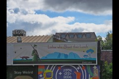 Fitzroy Streetscapes (Paul Palcsek ©)
