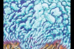 Fitzroy Streetscapes (Ian Spence ©)