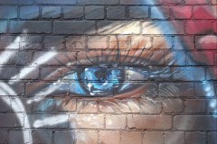 Fitzroy Streetscapes (Sara Wigney ©)