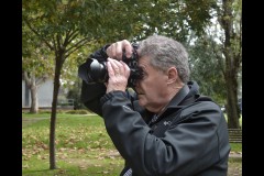 Fitzroy Streetscapes (Bob Clothier ©)