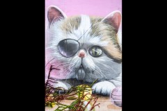 Fitzroy Streetscapes (Norman Blaikie ©)