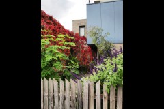 Fitzroy Streetscapes (Paul Palcsek ©)
