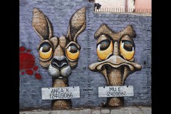 Fitzroy Streetscapes (Jim Weatherill ©)