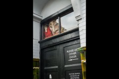 Fitzroy Streetscapes (David Dyett ©)