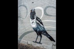 Fitzroy Streetscapes (Jim Weatherill ©)