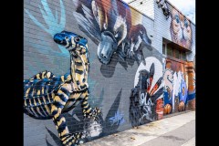 Fitzroy Streetscapes (Norman Blaikie ©)