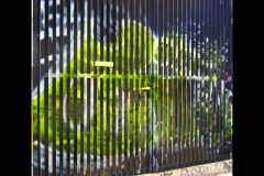 Fitzroy Streetscapes (Joe Hajdu ©)