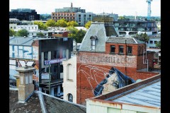 Fitzroy Streetscapes (Stuart McMurtrie ©)