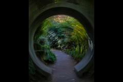 Forest Glade Gardens Outing (Robert Fairweather ©)