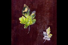 Forest Glade Gardens Outing (Phil Marley ©)